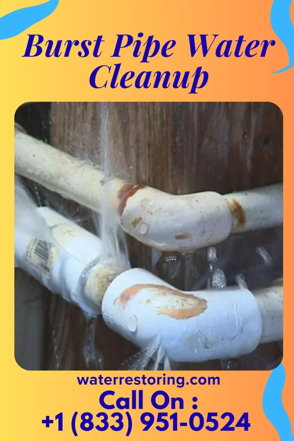 Burst Pipe Water Cleanup in Reagan, OK