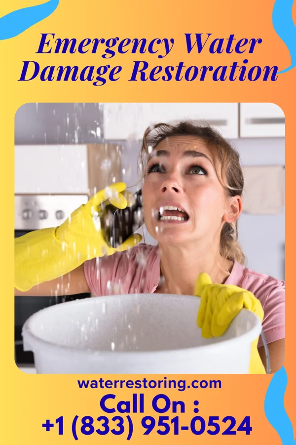 Emergency Water Damage Restoration in Reagan, OK