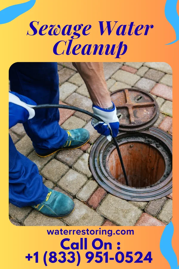 Sewage Water Cleanup in Reagan, OK