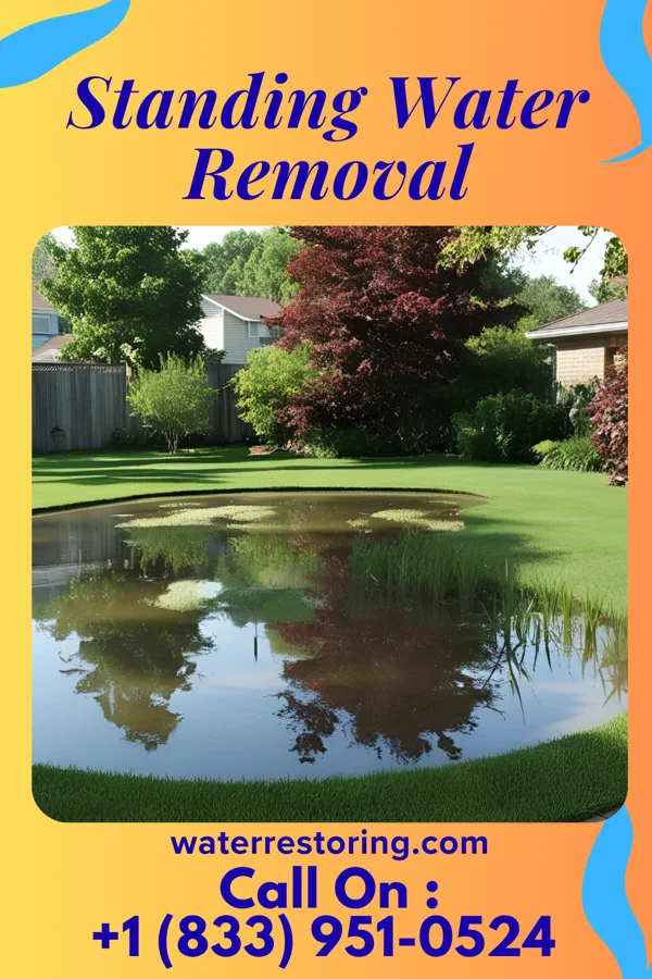 Standing Water Removal in Reagan, OK